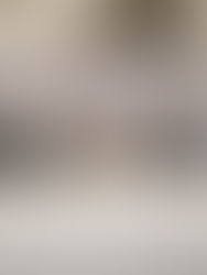 Nuestra prioridad es garantizar la seguridad a la ciudadanía: Llaven Abarca