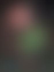 Chelsea gana Copa Estudiantes