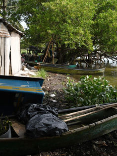 Suman al menos 65 cuerpos hallados en una fosa de Veracruz