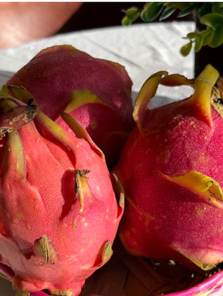 Suchiapa, tierra donde se cosecha la pitahaya