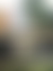 El virus del COVID-19 presente en heces y aguas residuales