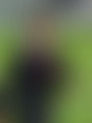 Indagan gestión de EPN por desvíos a García Luna