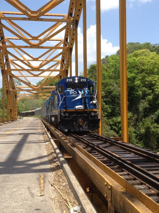 Estudios de ingeniería del Tren Maya estarán listos en diciembre
