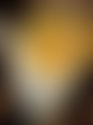 Redescubren en Japón la 'linterna de hadas' después de 30 años