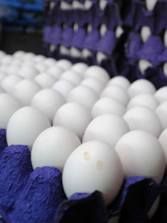 Huevo, se vende hasta en 70 pesos en mercados del país