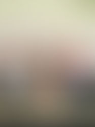 Sheinbaum entrega créditos a la palabra a mujeres artesanas