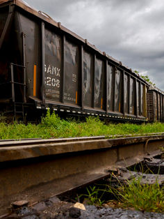 Fonatur diseña los procedimientos para licitar tramos del Tren Maya