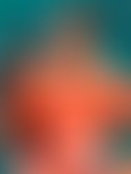 Djokovic cae en la final de Belgrado