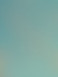 Descubren una forma de matar al mosquito del dengue 100% eficaz