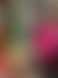 Fogón de Jovel el rincón de la cocina tradicional chiapaneca en San Cristóbal de las Casas