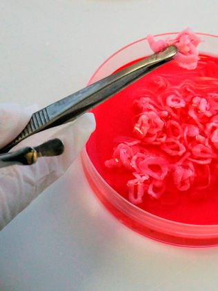 Wuhan detecta covid-19 en envases de carne congelada importada de Brasil