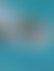 Vuelven a la competencia formal