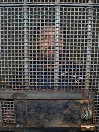 Ecuador espera que Estados Unidos solicite la extradición del narcotraficante "Fito"