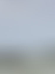 Al menos 26 pescadores murieron durante naufragio en Honduras