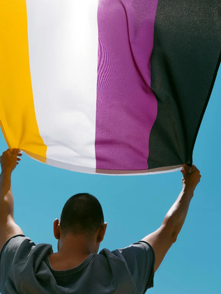 México lanza carnet consular para personas no binarias en el extranjero