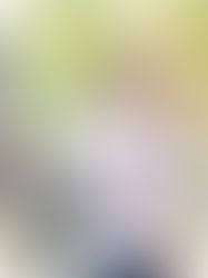 Gobernador y titular de Conapesca entregan de tarjetas del Bienestar a beneficiarios de Bienpesca