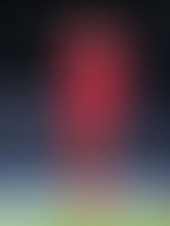 Corona estaría transferible