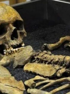 Científicos hallan esqueleto de persona a la que operaron del cerebro hace 4.000 años