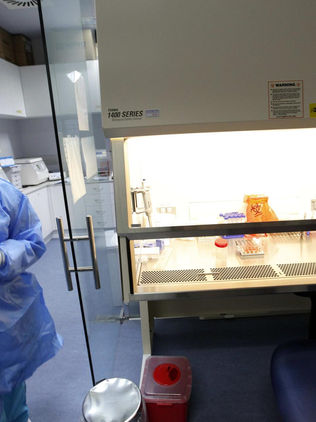 Los microplásticos se encuentran ya en los fluidos reproductivos humanos