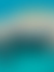 Investigadores encuentran 100 nuevas especies en el fondo del océano