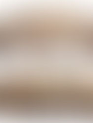 Mandíbulas que trituraban presas del Cretácico excavadas en Texas