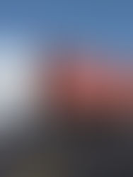 Buscan incluir robo a autotransporte a ley de delincuencia organizada