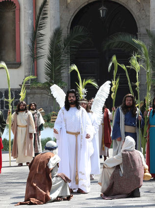 Católicos inician la Semana Santa con un Domingo de Ramos híbrido
