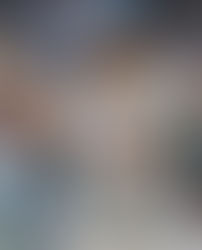 Los Yankees van por todo