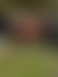 El duelo, proceso presente en todas nuestras pérdidas