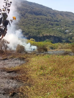 Casi 9 mil incendios forestales en ANP’s de Chiapas
