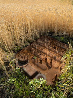 La ONU confirma que seguirá con el acuerdo del grano pese a la suspensión rusa