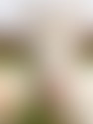 Las cabras distinguen emociones en el tono de la voz humana