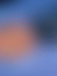 El Senado aprueba una ley para aumentar aranceles a productos asiáticos