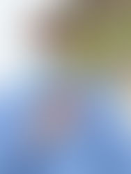 Tarifa justa por el servicio de agua, pide Yamil Melgar a los Ayuntamientos