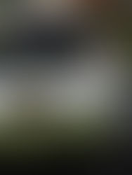 Transportistas aplicarán descuentos a estudiantes