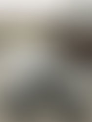 Inicia convocatoria para subasta de vehículos oficiales