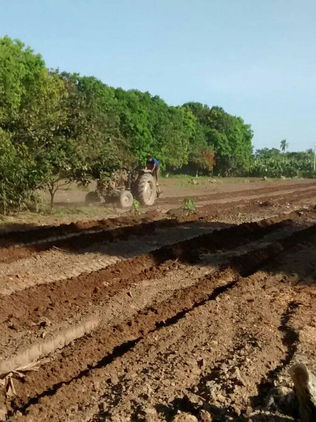 En crisis, campesinos y productores del campo