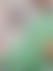 Diputados alertan que Morena busca nacionalizar pensiones