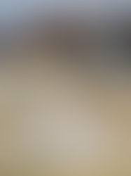 CIDH pide a México "redoblar esfuerzos" para indagar y castigar por el rancho en Jalisco