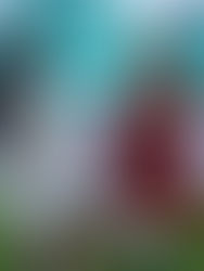 Rusia recupera terreno