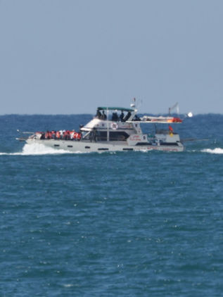 Los seis mexicanos retenidos por Israel en la flotilla humanitaria inician su repatriación