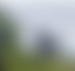 Refuerzan seguridad en Chiapas con operativos coordinados