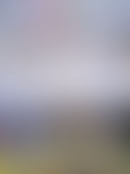 Mariano Rosales toma protesta como Presidente de Villaflores