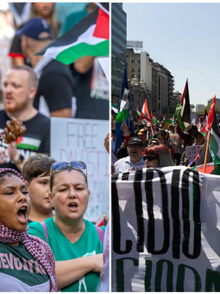 Miles de personas en América se solidarizan con Palestina y piden sanciones contra Israel