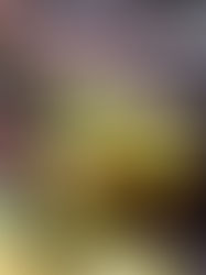 La inflación sube al 6 % por el alza en agropecuarios y energéticos