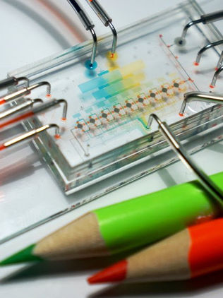 Desarrollan mexicanos microchip para detectar coronavirus