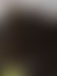 El Satz: Una Delicia Natural en Peligro