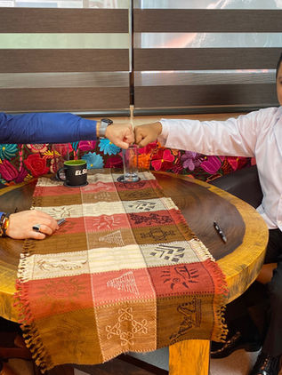 ICSMISH, profesionalizando la medicina homeópata 