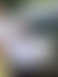 Supervisa AMLO avances de tramos 5 y 6 del Tren Maya en Quintana Roo