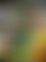 Morena va contra venta de cervezas frías